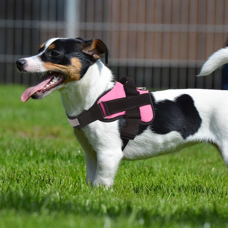 Bolux Dog Harness, No-Pull Reflective Dog Vest, Breathable Adjustable Pet Harness with Handle for Outdoor Walking - No More Pulling, Tugging or Choking (Pink, L) - Image 4